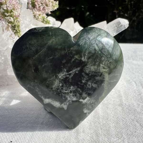 Serpentine heart - Image 2