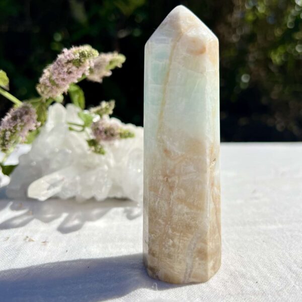 Caribbean calcite tower - Image 4