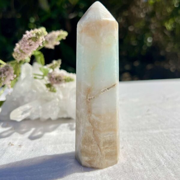 Caribbean calcite tower - Image 3