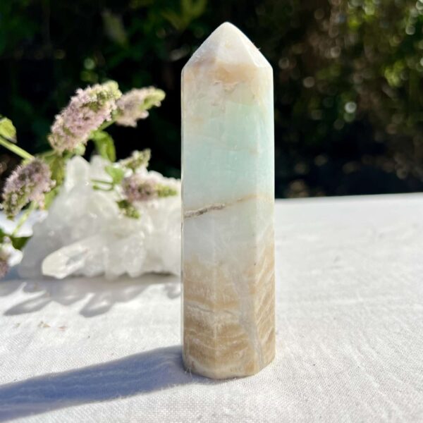 Caribbean calcite tower - Image 2